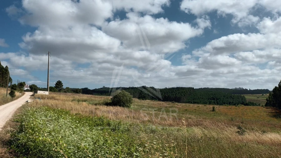 Terreno para Venda em Bombarral e Vale Covo Foto 6