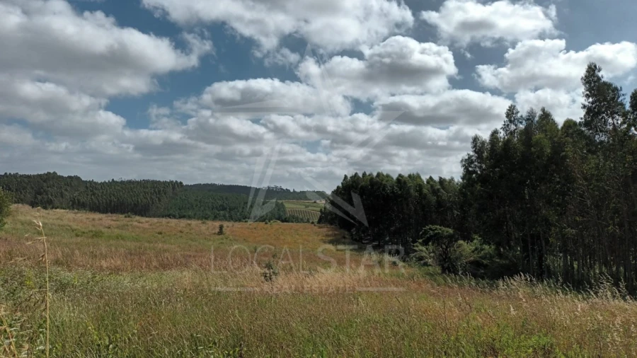 Terreno para Venda em Bombarral e Vale Covo Foto 3