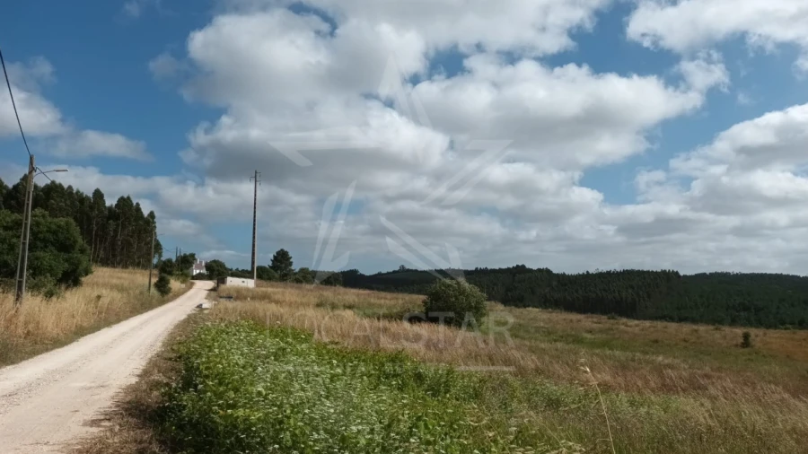 Terreno para Venda em Bombarral e Vale Covo