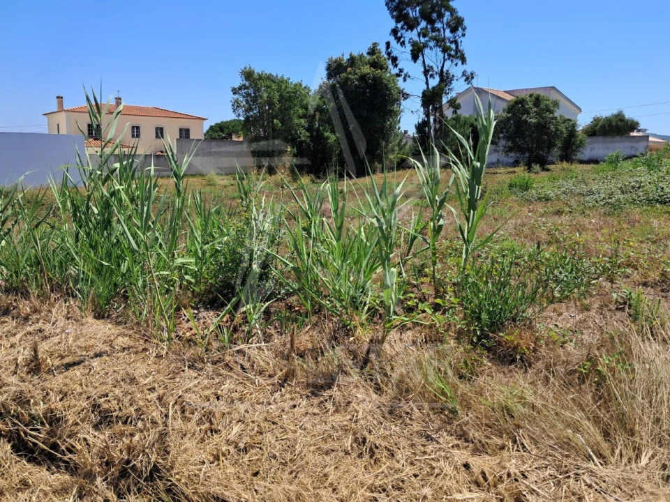 Terreno para Venda em Nadadouro Foto 3