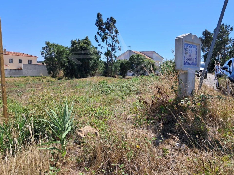 Terreno para Venda em Nadadouro Foto 12