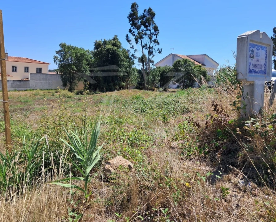Terreno para Venda em Nadadouro Foto 3