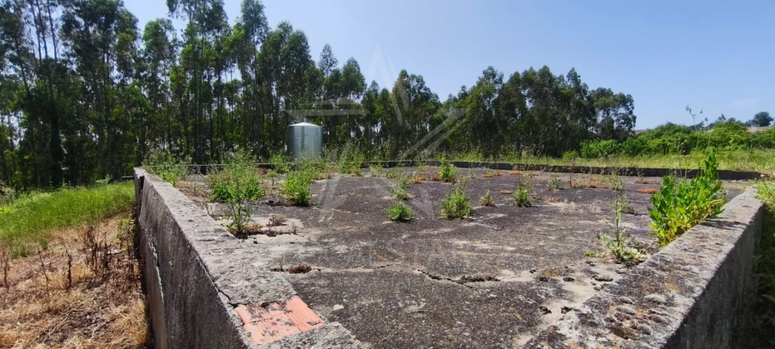 Terreno para Venda em Alvorninha Foto 7