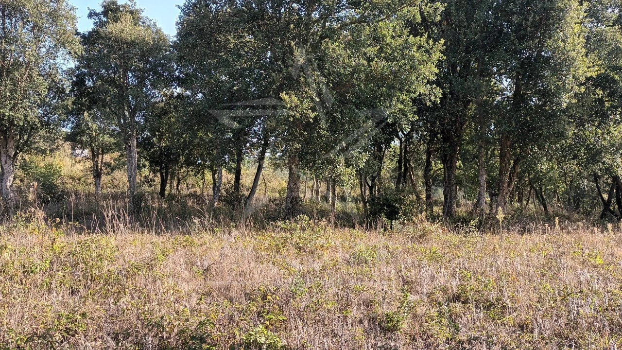 Terreno para Venda em Roliça Foto 4