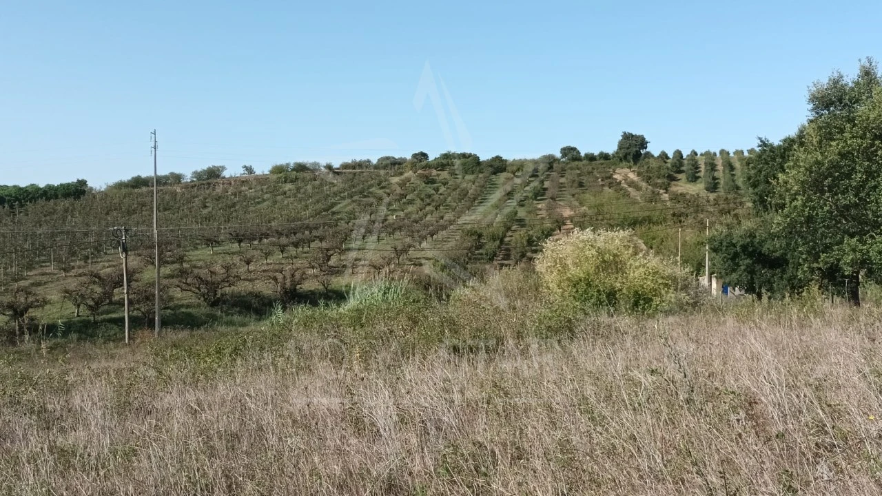 Terreno para Venda em Roliça Foto 7