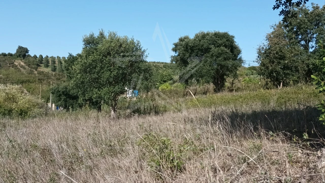 Terreno para Venda em Roliça Foto 8