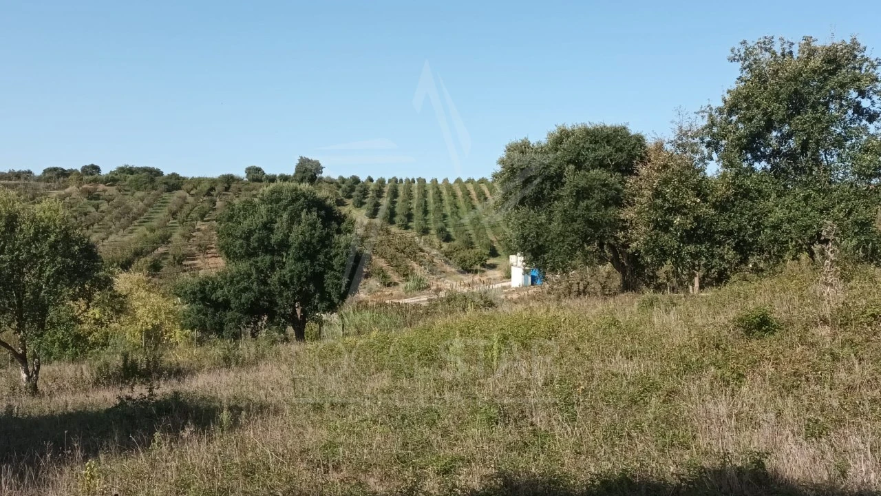 Terreno para Venda em Roliça Foto 2
