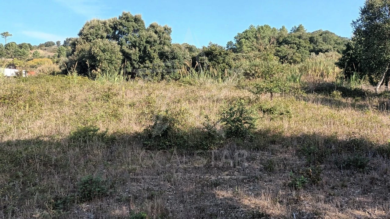 Terreno para Venda em Roliça Foto 12