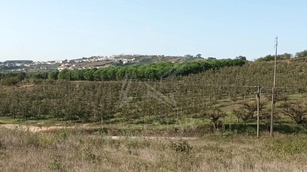 Terreno para Venda em Roliça Foto 15