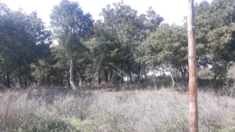 Terreno para Venda em Roliça Foto 6