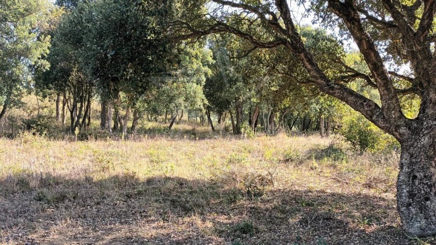 Terreno para Venda em Roliça Foto 1