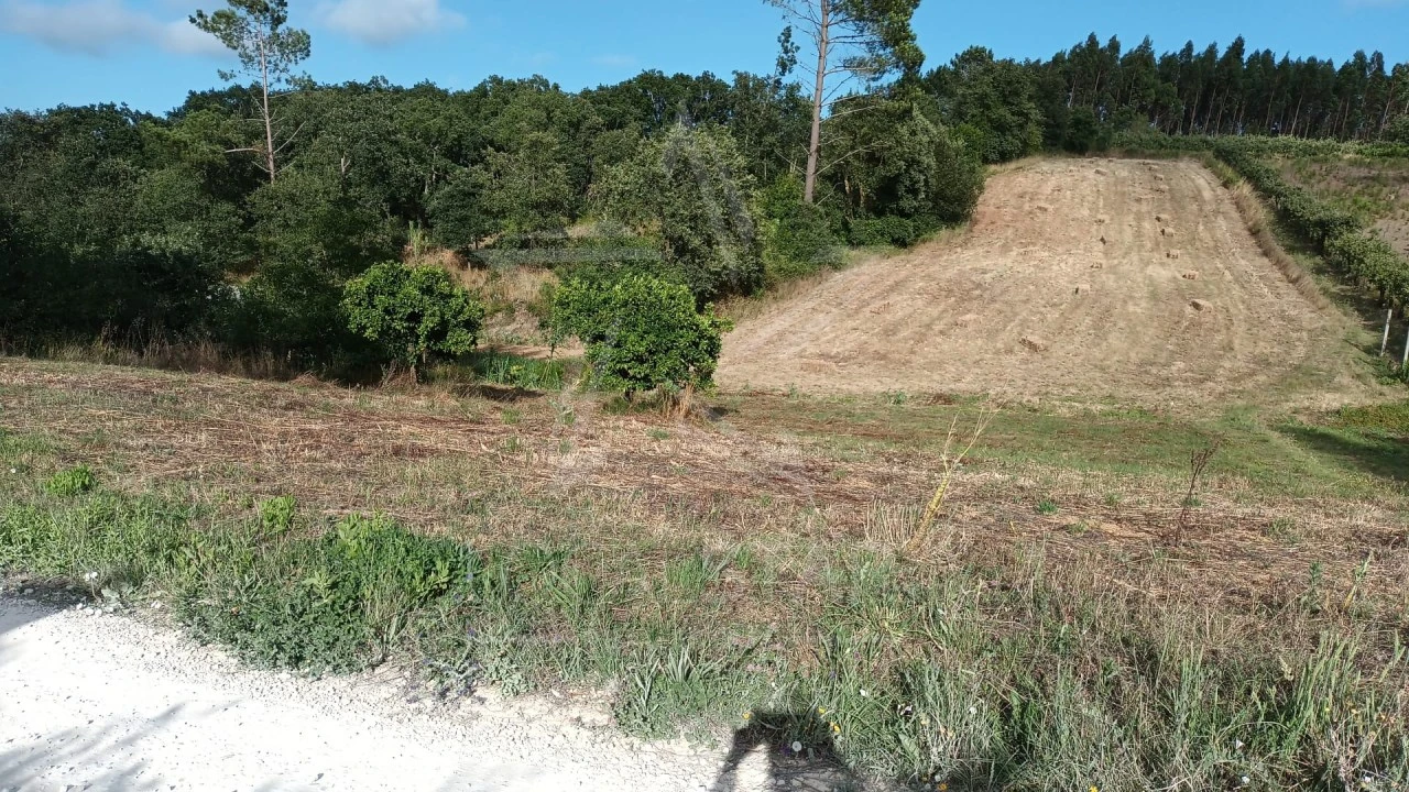 Terreno para Venda em Salir de Matos Foto 2
