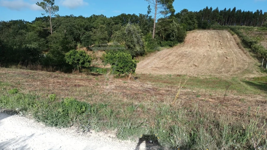 Terreno para Venda em Salir de Matos Foto 2