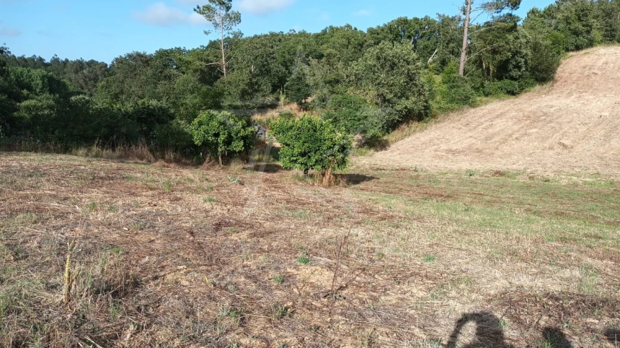 Terreno para Venda em Salir de Matos Foto 3