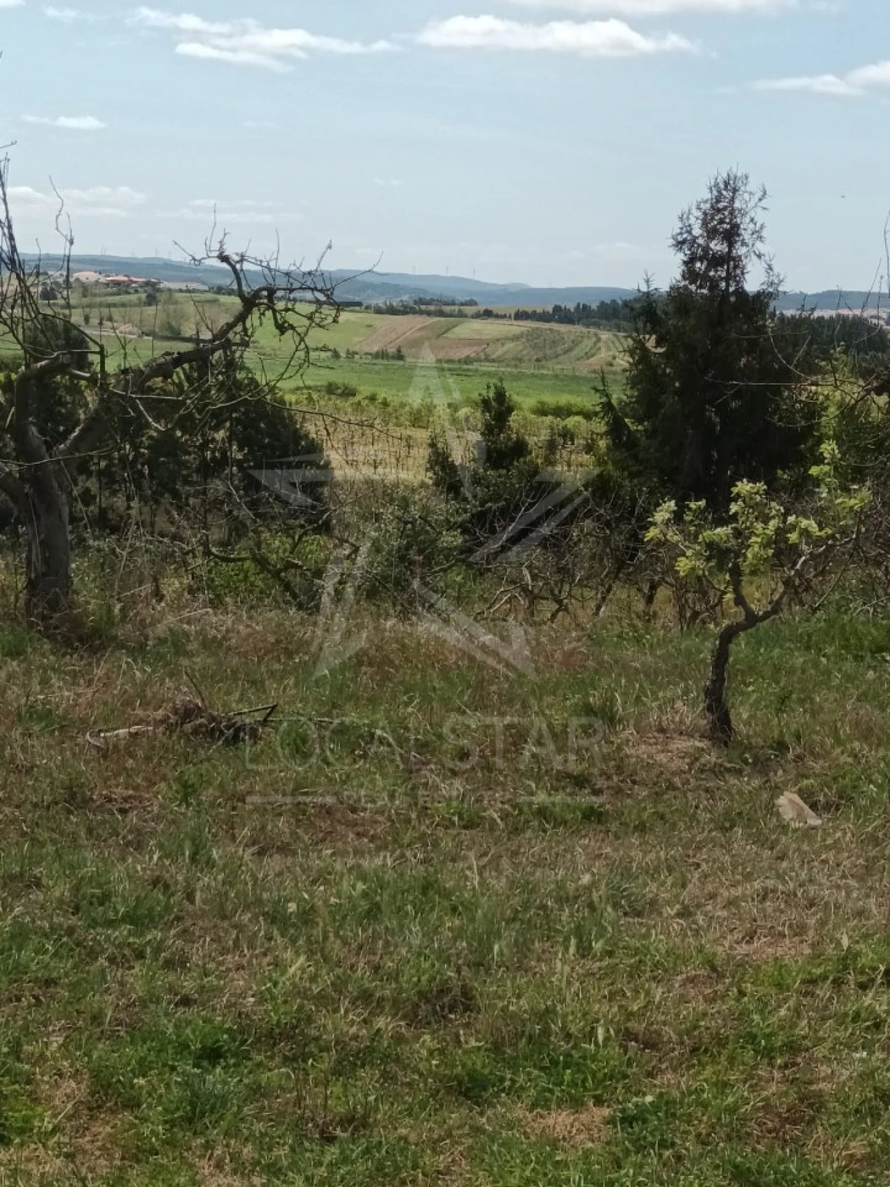 Terreno para Venda em Roliça Foto 13