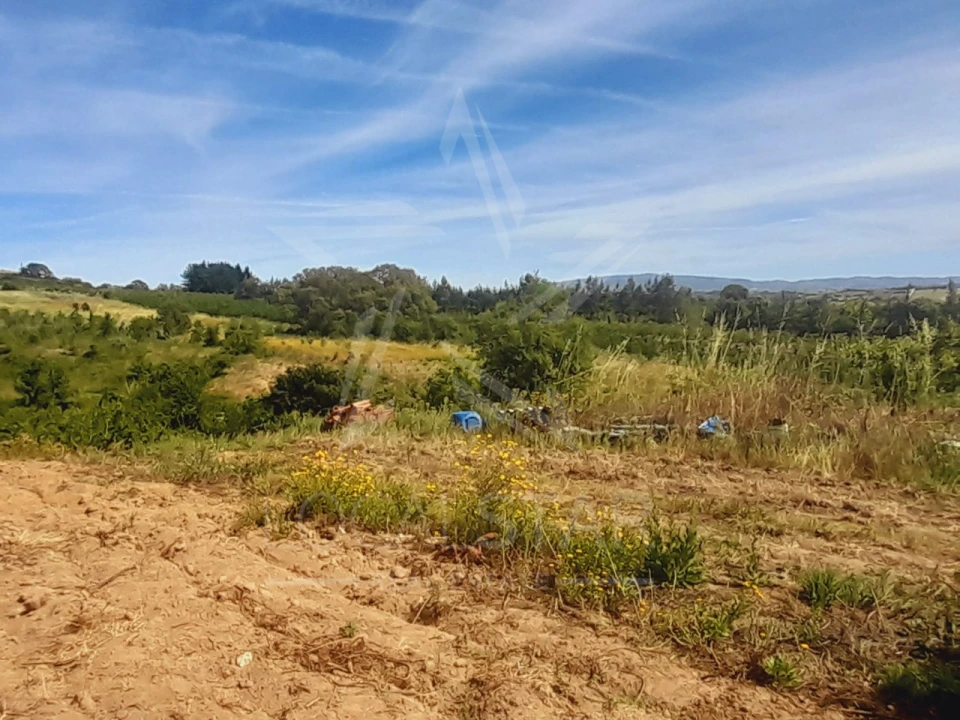 Terreno para Venda em Roliça Foto 7