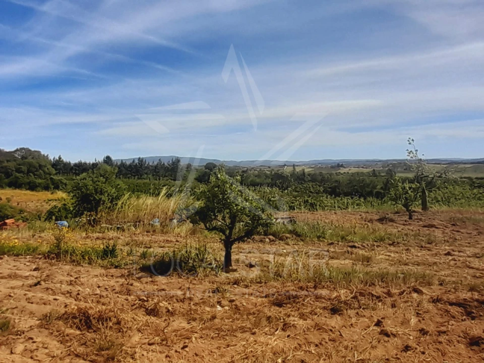Terreno para Venda em Roliça Foto 8