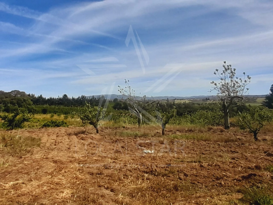Terreno para Venda em Roliça Foto 1