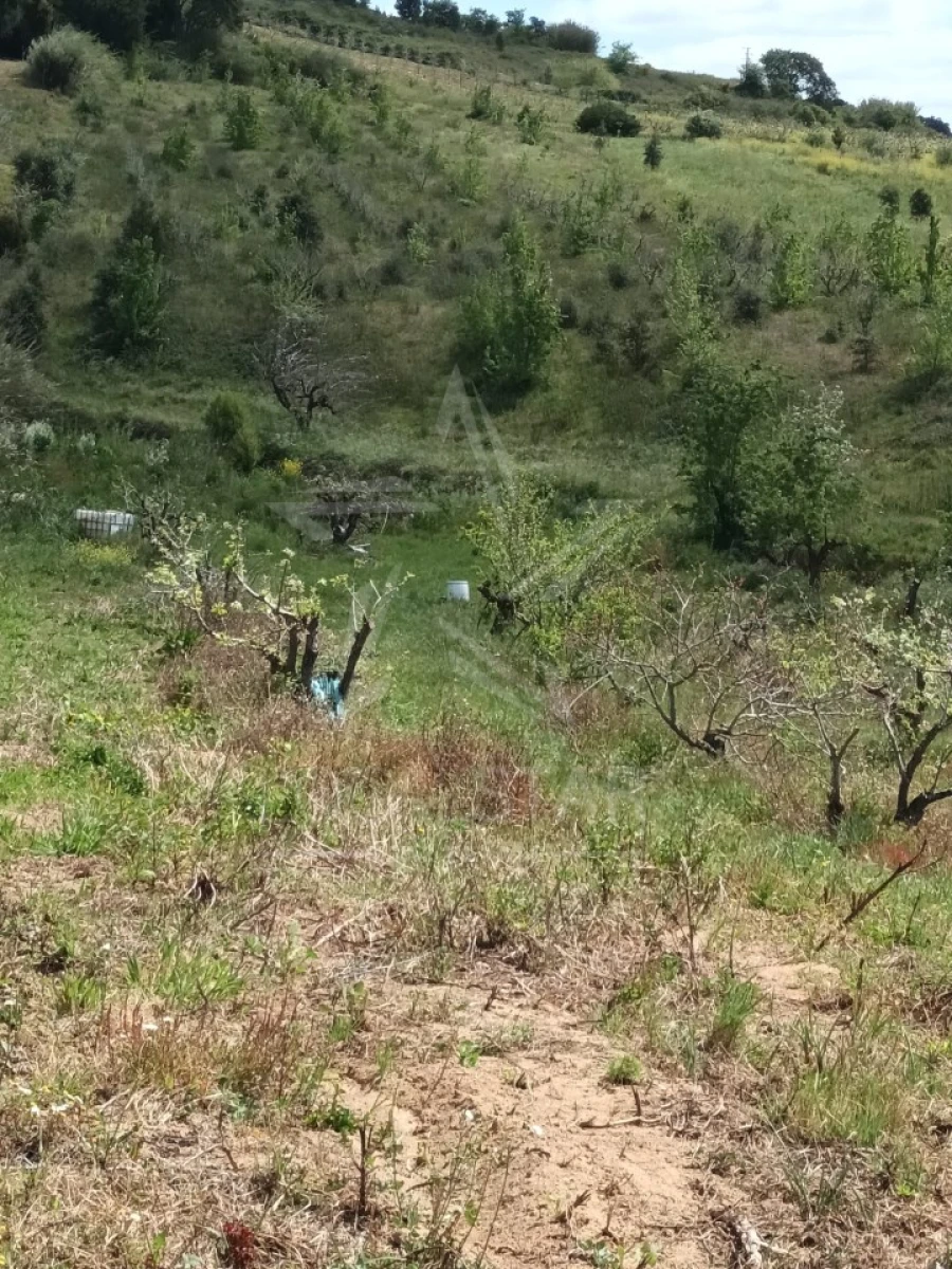 Terreno para Venda em Roliça Foto 12