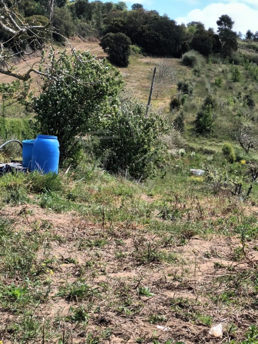 Terreno para Venda em Roliça Foto 15