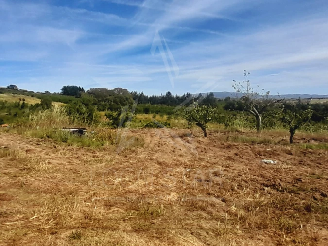 Terreno para Venda em Roliça Foto 3