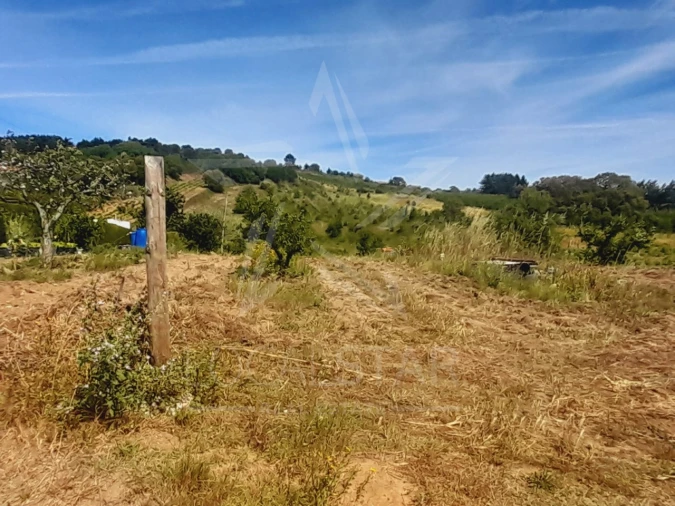 Terreno para Venda em Roliça Foto 4