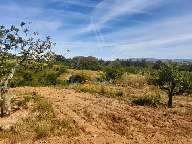 Terreno para Venda em Roliça Foto 5