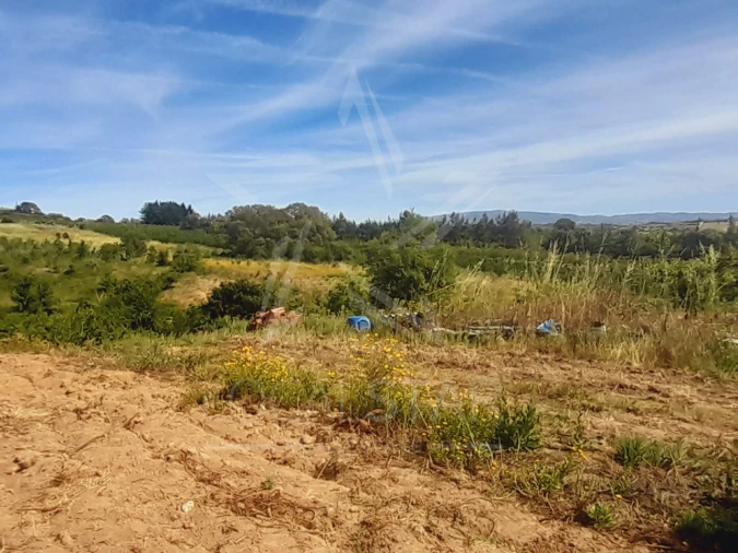 Terreno para Venda em Roliça Foto 7