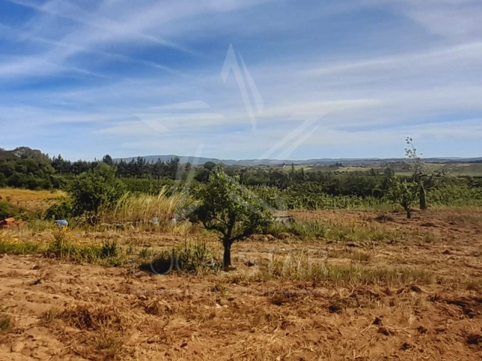 Terreno para Venda em Roliça Foto 8