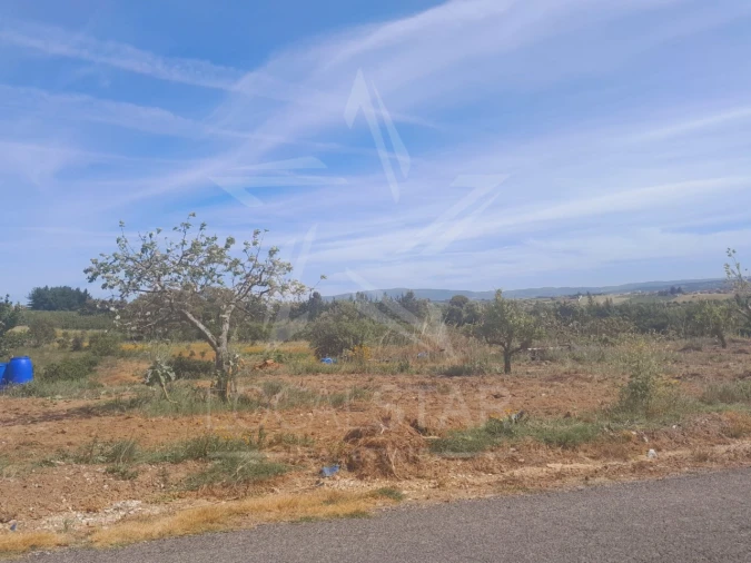 Terreno para Venda em Roliça Foto 9
