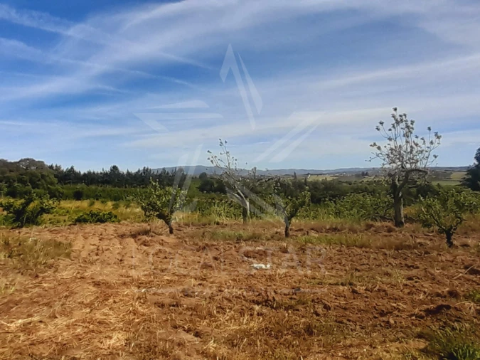 Terreno para Venda em Roliça Foto 1