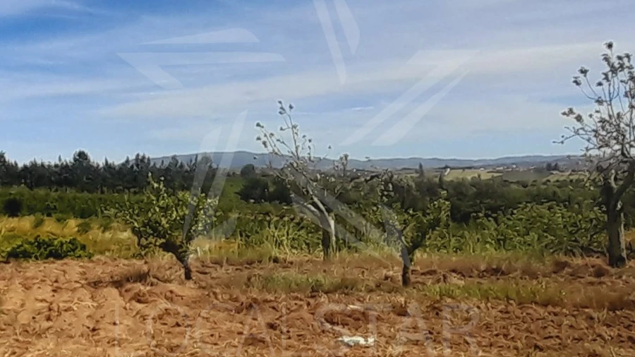Terreno para Venda em Roliça