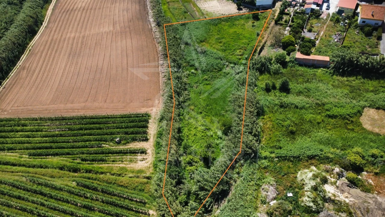 Terreno para Venda em Alfeizerão Foto 7
