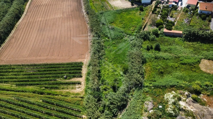 Terreno para Venda em Alfeizerão Foto 4