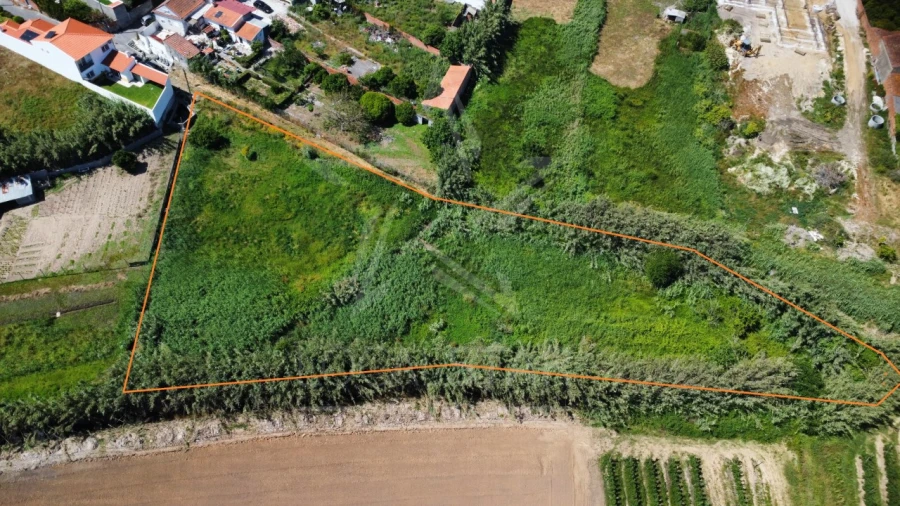 Terreno para Venda em Alfeizerão Foto 6