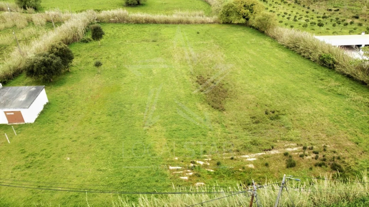 Terreno para Venda em Tornada e Salir do Porto Foto 10