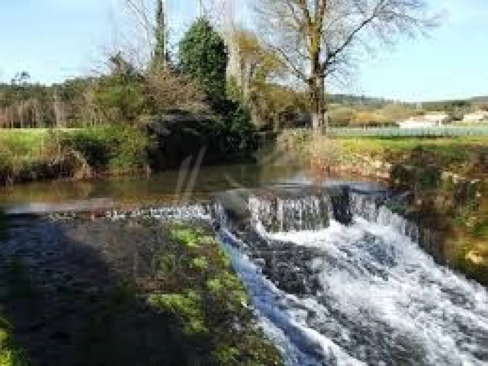 Terreno para Venda em Tornada e Salir do Porto Foto 54