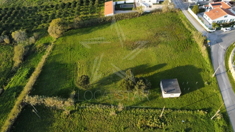 Terreno para Venda em Tornada e Salir do Porto Foto 6
