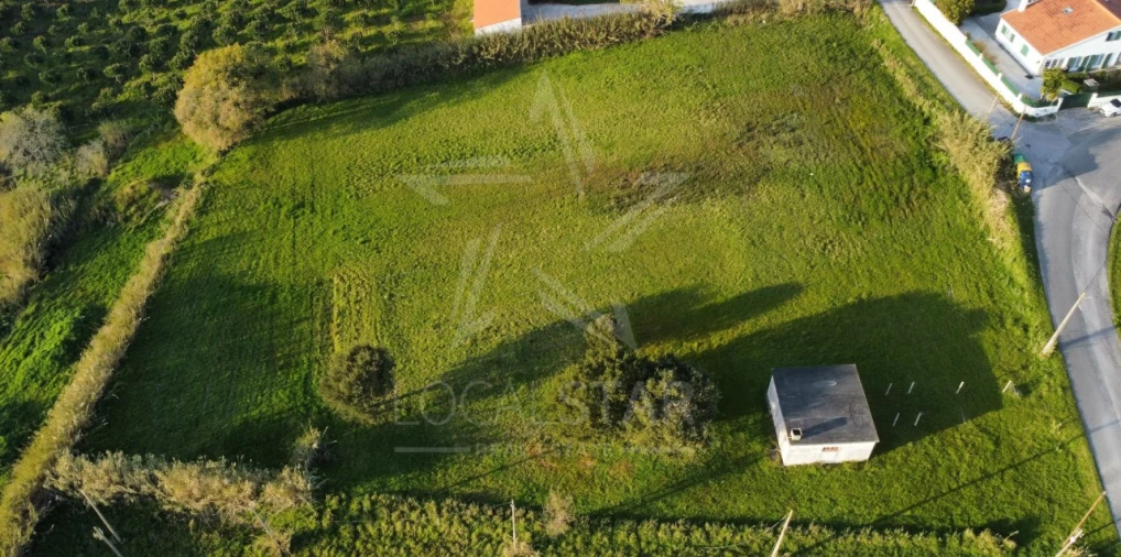 Terreno para Venda em Tornada e Salir do Porto Foto 21