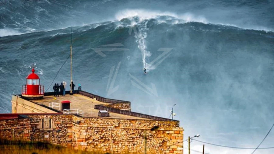 Terreno para Venda em Tornada e Salir do Porto Foto 33