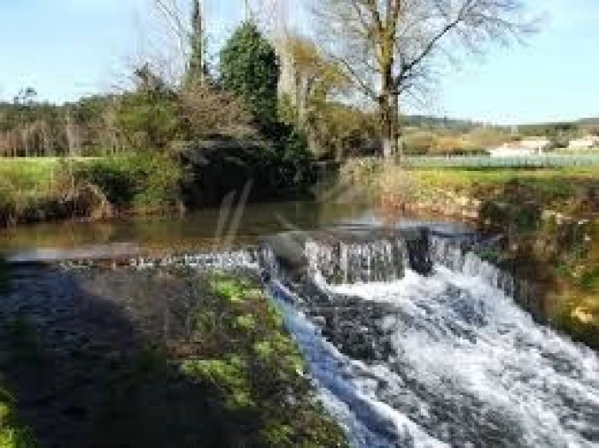 Terreno para Venda em Tornada e Salir do Porto Foto 54