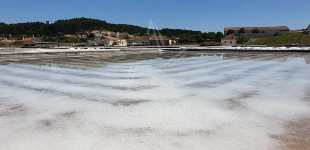 Terreno para Venda em Tornada e Salir do Porto Foto 56