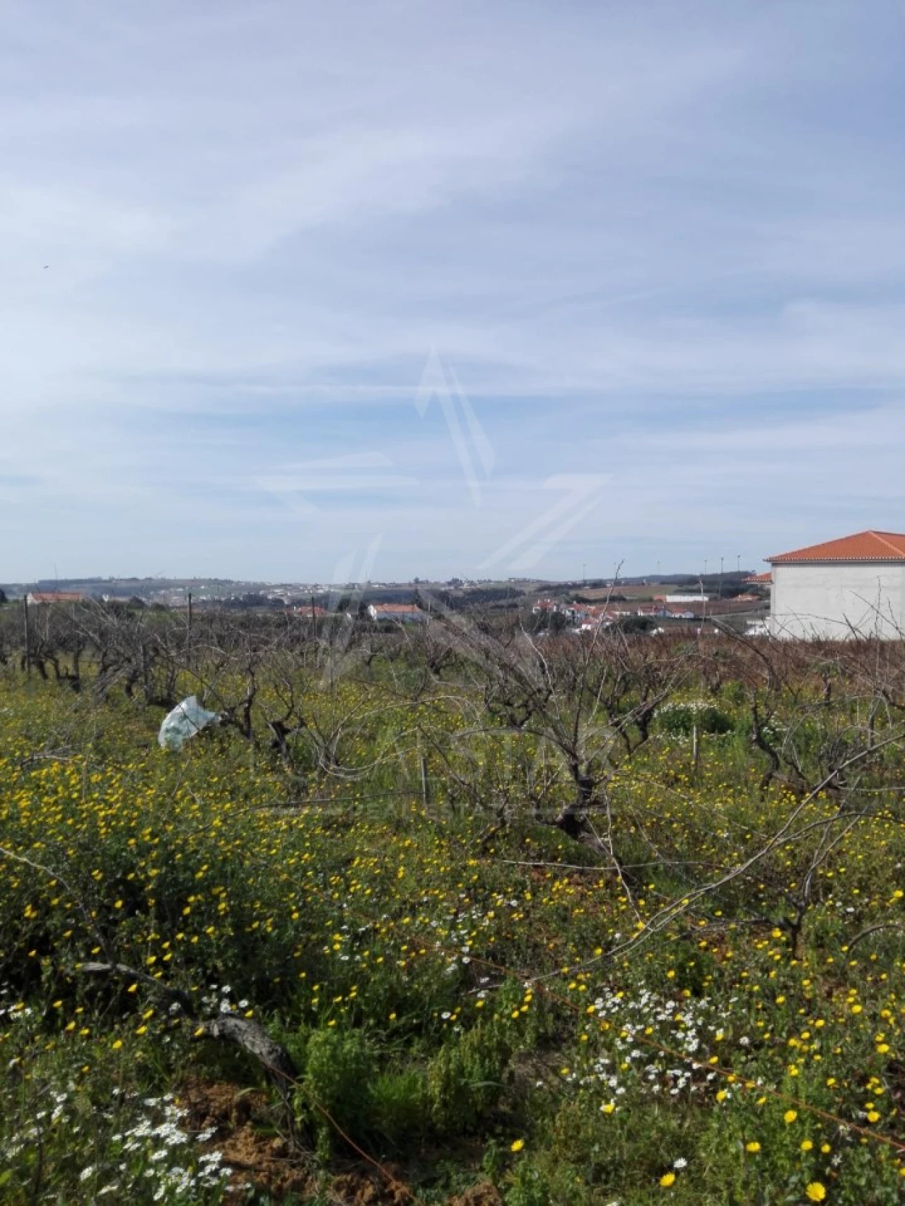 Terreno para Venda em Moita dos Ferreiros Foto 9