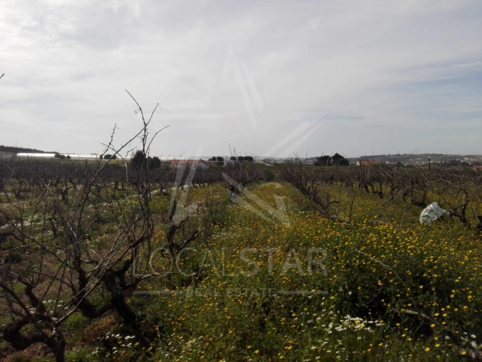 Terreno para Venda em Moita dos Ferreiros Foto 12