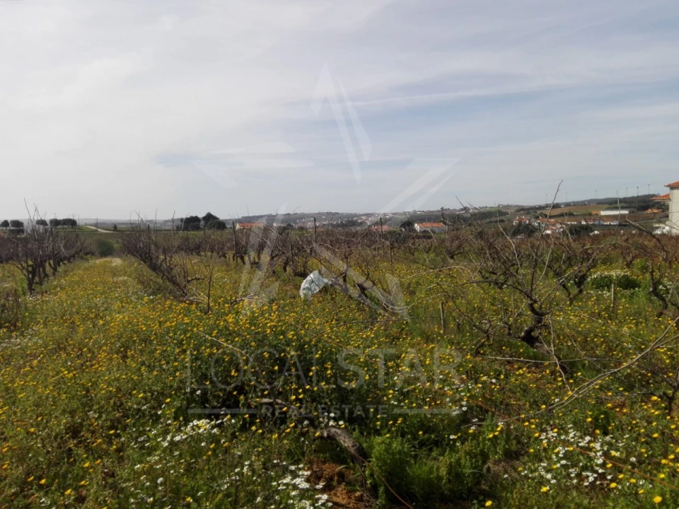 Terreno para Venda em Moita dos Ferreiros Foto 14