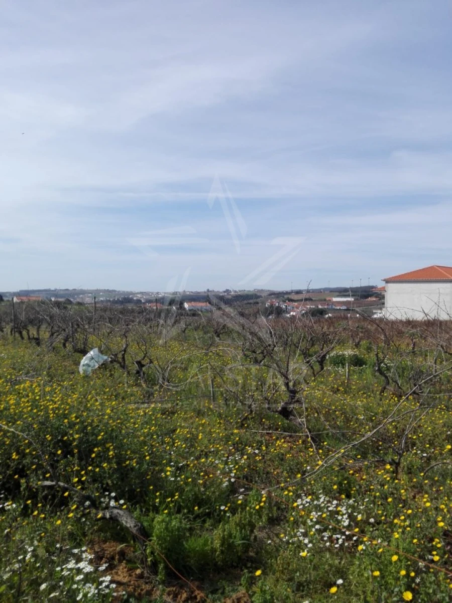 Terreno para Venda em Moita dos Ferreiros Foto 9