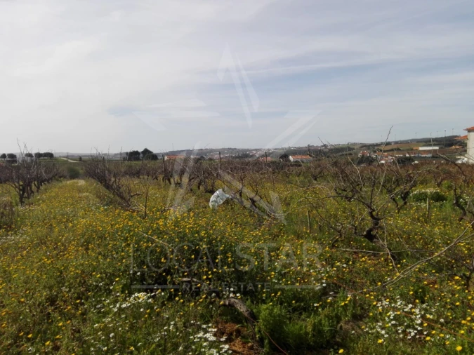Terreno para Venda em Moita dos Ferreiros Foto 14