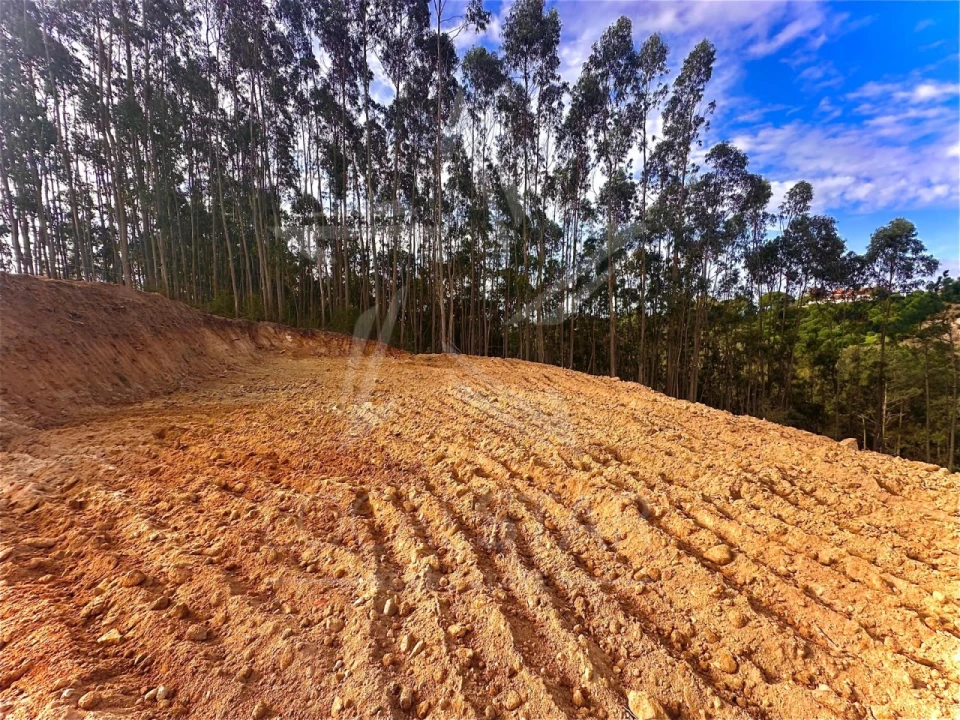 Terreno para Venda em Salir de Matos Foto 3