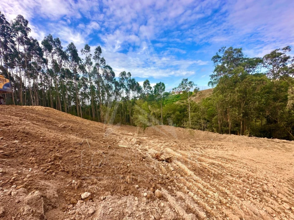 Terreno para Venda em Salir de Matos Foto 5