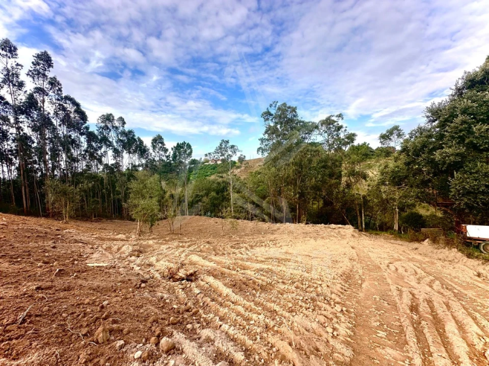 Terreno para Venda em Salir de Matos Foto 2